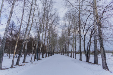 Similar image 21496334