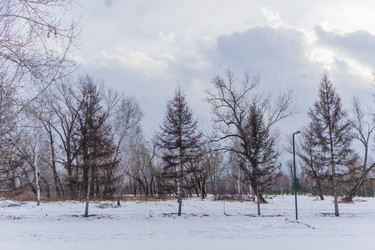 Similar image 21496338