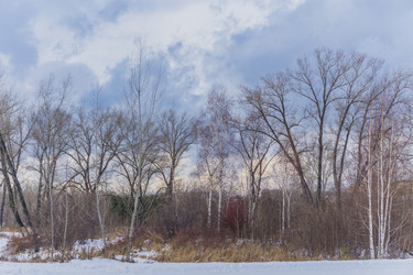 Similar image 21496339