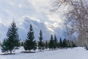 Similar image 21496342