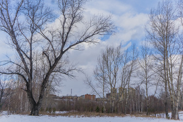 Similar image 21496343