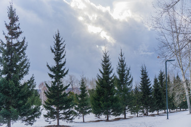 Similar image 21496345