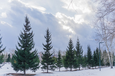 Similar image 21496346