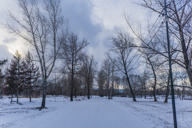 Similar image 21496348