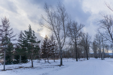 Similar image 21496349