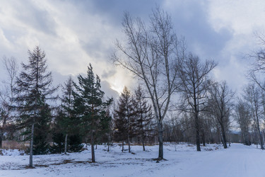 Similar image 21496350