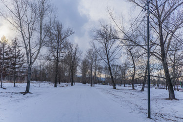 Similar image 21496355