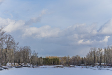 Similar image 21496356