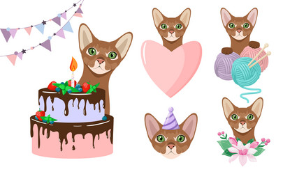 Similar image 21501981