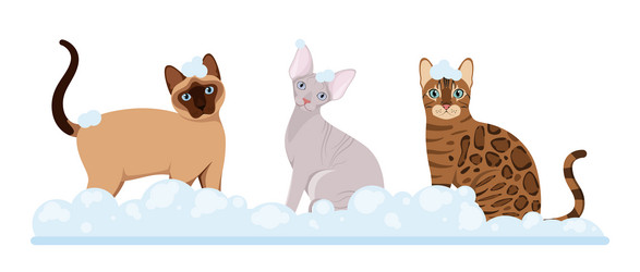 Similar image 21501982