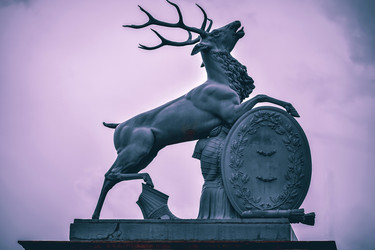 Similar image 21496994