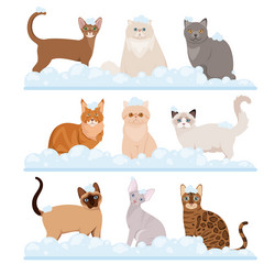 Similar image 21501988