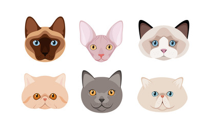 Similar image 21501990