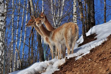 Similar image 21504193