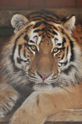 Similar image 21491715