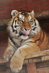 Similar image 21491716