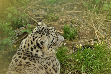 Similar image 21491717