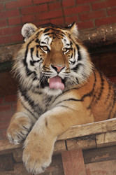 Similar image 21491718