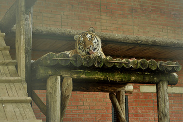 Similar image 21491719