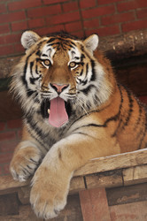 Similar image 21491720