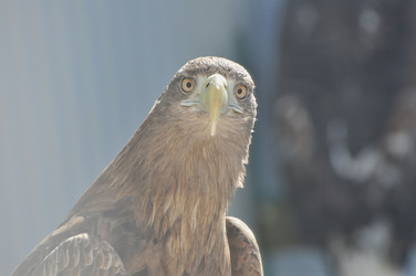 Similar image 21493819