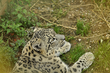 Similar image 21495215