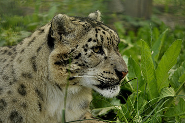 Similar image 21495235