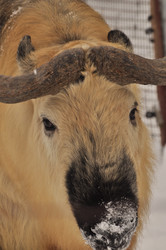 Similar image 21495255