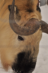 Similar image 21495256