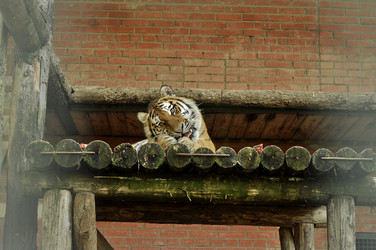 Similar image 21499656