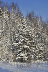 Similar image 21502432