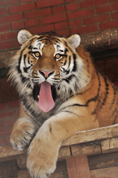 Similar image 21502433