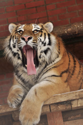 Similar image 21502434