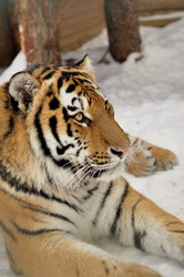 Similar image 21502436