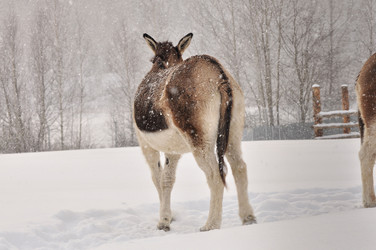 Similar image 21502437