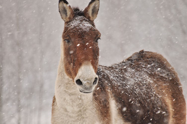 Similar image 21502441