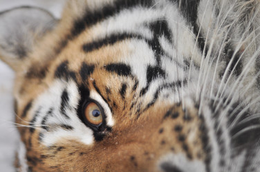 Similar image 21502874