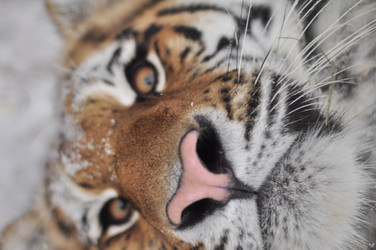 Similar image 21502875