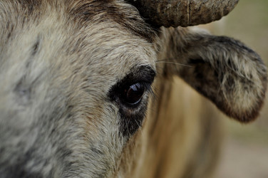 Similar image 21502876