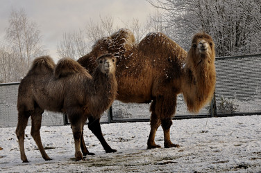 Similar image 21503273