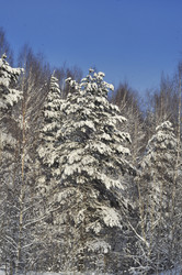 Similar image 21503274