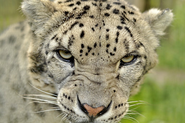 Similar image 21503275