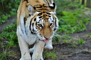 Similar image 21503276