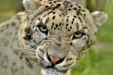 Similar image 21503277