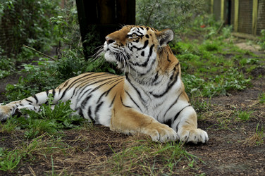 Similar image 21503278