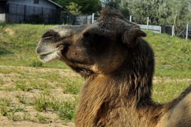 Similar image 21503712