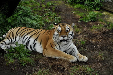 Similar image 21503713