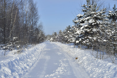 Similar image 21503993