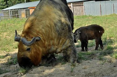 Similar image 21489109