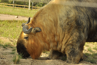 Similar image 21489111